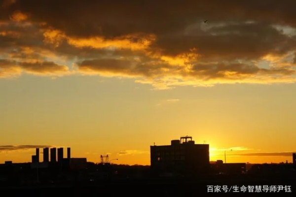 在朝阳初升的时刻，浸入黎明希望的句子里，唤醒内心的光芒和力量