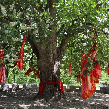 (类似圣迹的游戏)探寻神秘力量：寻找类似圣树唤歌的神奇游戏