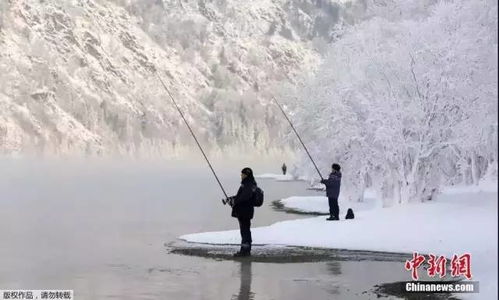 (冬季雪中行人图片)雪中回眸新书：冬季里的温暖之光