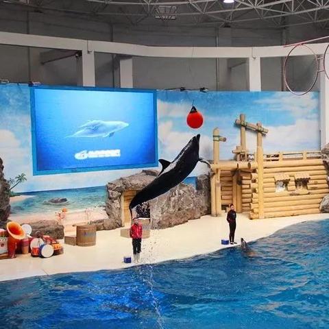 (捕鱼怎么切换账号)捕鱼大咖:多个账号登录技巧分享及注意事项 (捕鱼怎么切换账号)捕鱼大咖:多个账号登录技巧分享及注意事项