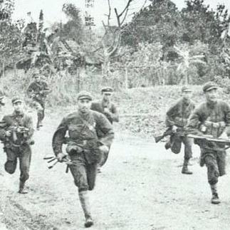 密林纷争攻略：探索未知领域，披荆斩棘，揭露幕后阴谋，取得胜利的精准指南。