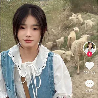 少女除虫大冒险下载安装：守护花园，保护家园