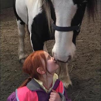 (怎么培养宠物)家养萌宠：如何培养快乐健康的宠物生活方式？