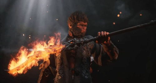 血滴子是什么东西呀？了解一下这种古老而神秘的药材在现代的应用及功效