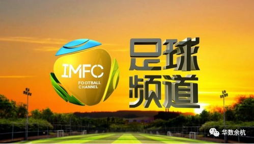 探索数字化体育新趋势:未来足球官方网站助力线上互动与赛事运营 探索数字化体育新趋势:未来足球官方网站助力线上互动与赛事运营