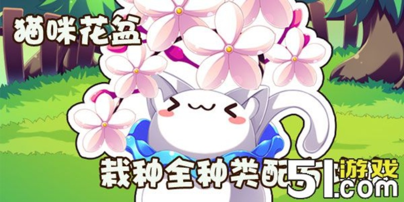 (花香对猫有没有影响)探寻花香与猫咪的秘密：SIXGOD配方获取技巧分享