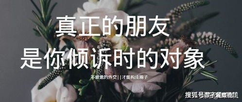 (宠爱前面可以加什么形容词)用宠爱填满心灵的空缺，消失的孤独与痛苦