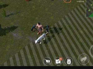 (废土上探索五个位置)探索废土行动怪物肉块获取方式:分享实战经验与策略应对挑战 (废土上探索五个位置)探索废土行动怪物肉块获取方式:分享实战经验与策略应对挑战