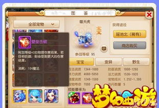 深度解析：梦幻之城手游攻略，掌握核心玩法勇闯副本关卡，让你轻松成为游戏高手