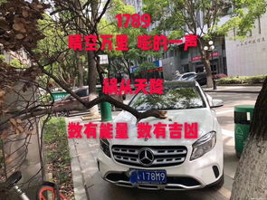 (免费车牌号码吉凶测试)免费车牌号吉凶查询官网,详尽解读车牌号码的命运! (免费车牌号码吉凶测试)免费车牌号吉凶查询官网,详尽解读车牌号码的命运!