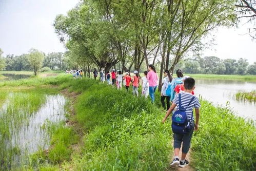 探秘风林百科：解读自然奥秘，探寻生态之美，感受大自然的魅力