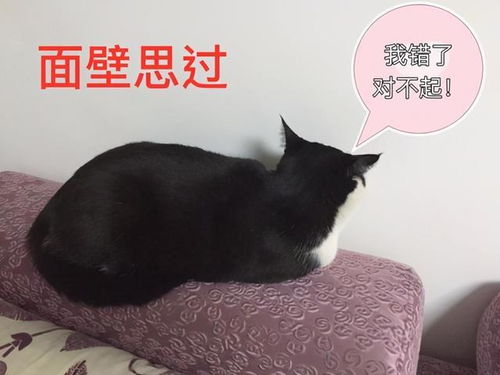 (尤猫醒醒在哪个平台)详解尤猫醒醒资源全解锁的方法与技巧，让你轻松畅享游戏体验