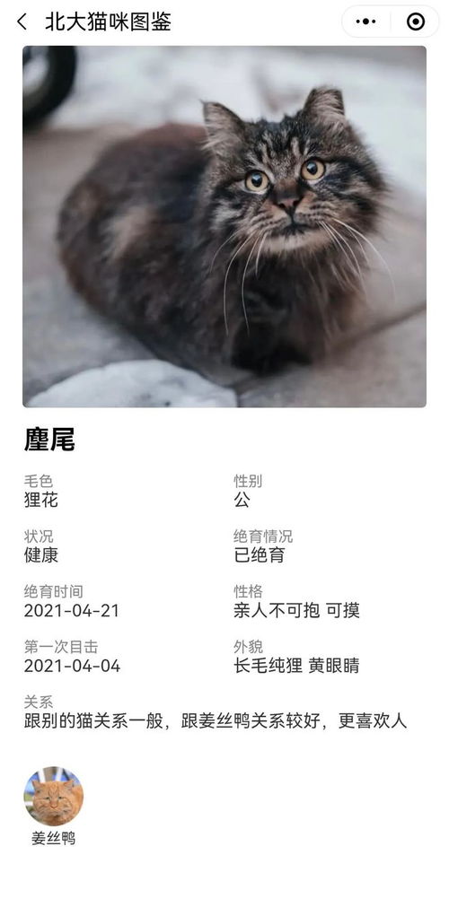 (尤猫醒醒在哪个平台)详解尤猫醒醒资源全解锁的方法与技巧，让你轻松畅享游戏体验