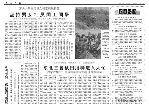 探讨殖民国家间的战争：观察其动力源泉与后果的深入剖析与对现代国际关系的启示