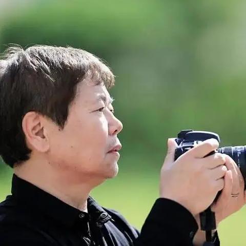 (二字动物网名霸气的名字)霸气十足！独具个性的二字动物网名大全推荐