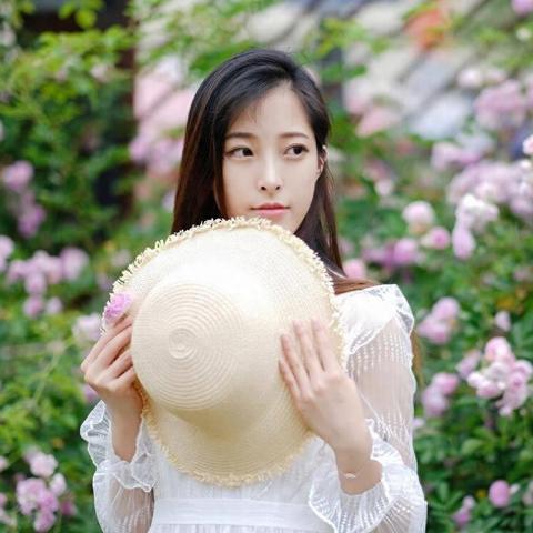 (无限融合进化)探索不断融合进化元素的游戏世界，解开无尽之谜