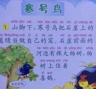 (我是寒号鸟写话)我是一只寒号鸟歌曲：独秀姿态，宛如寒号鸟在冰天雪地中翱翔