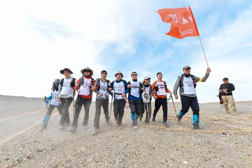 当然可以，以下是一个拓展后的