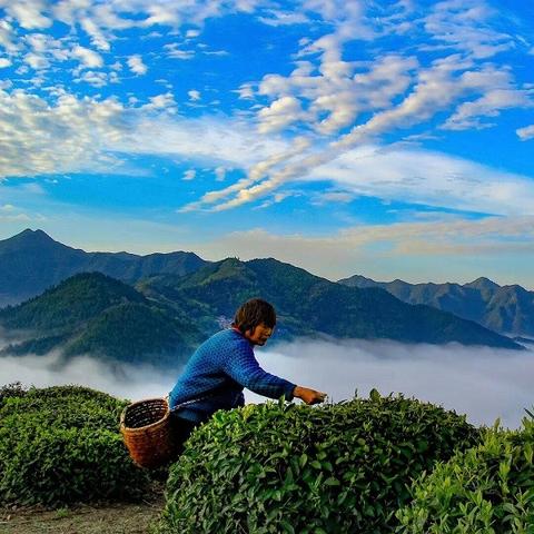 探讨古老与现代交织的魅力：详解文明岔口游戏玩法与背后的历史知识融合