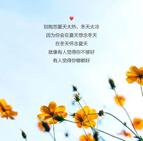 (早安少女组20)早安少女黄金十人：精彩绽放的晨曦，10位闪耀女神引领新一天