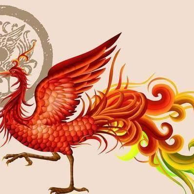 探索宇宙奥秘：以四象物语纪限图解为视角解析天文现象的科学内涵