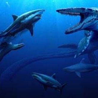 玩恐龙大战：探索史前生物的奇幻世界，尽情体验刺激的战斗与冒险