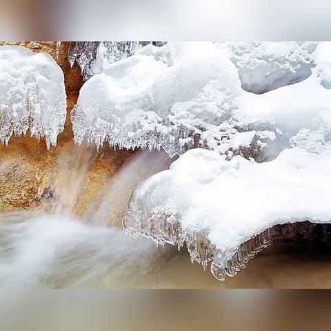 一步步教你在密林纷争中如何成功切换英雄：新手玩家必备心得与策略