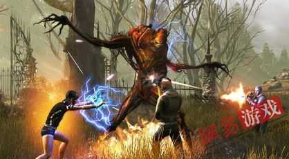 探索无主王座官网：揭秘神秘世界的秘密传说和无尽奇迹