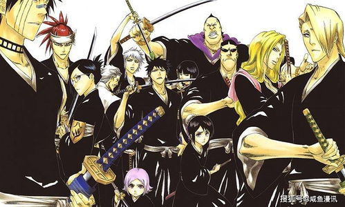 (bleach 境·界 斩魄刀异闻录)深入解析《境界刀鸣》下架原因及其对玩家和市场的影响分析