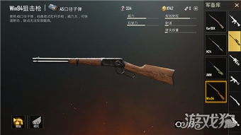 详解无尽男枪：如何有效发挥其几发子弹的致命性能——全方位技巧揭示