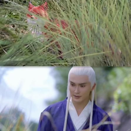 (寻找遗失的世界电视剧)寻找遗失的世界第二部国语：探秘失落在历史长河中的珍贵语言