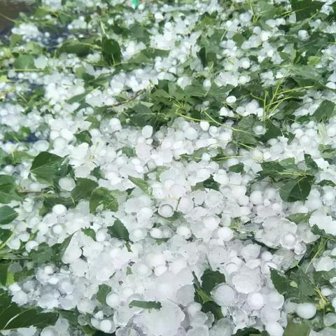 (砸烂车玻璃属什么行为)探讨砸烂汽车玻璃应负何种责任：犯罪行为还是小事一桩？