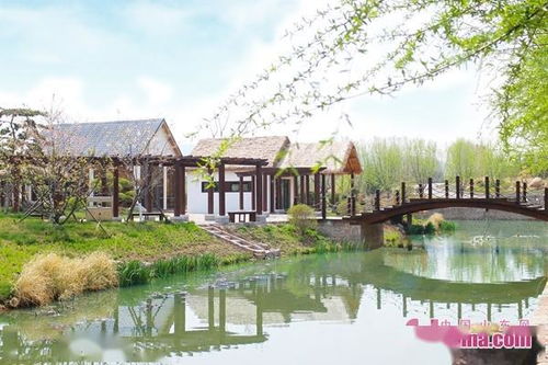 (桃源乡村百度百科)桃源乡村：探索田园诗般的世外桃源与现代生活的完美融合之旅