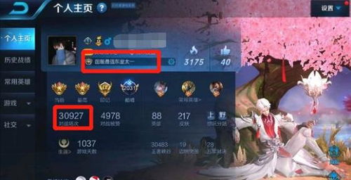 (永恒联盟比赛直播)永恒联盟手游多久开一个区服?开区时间长短由什么决定? (永恒联盟比赛直播)永恒联盟手游多久开一个区服?开区时间长短由什么决定?