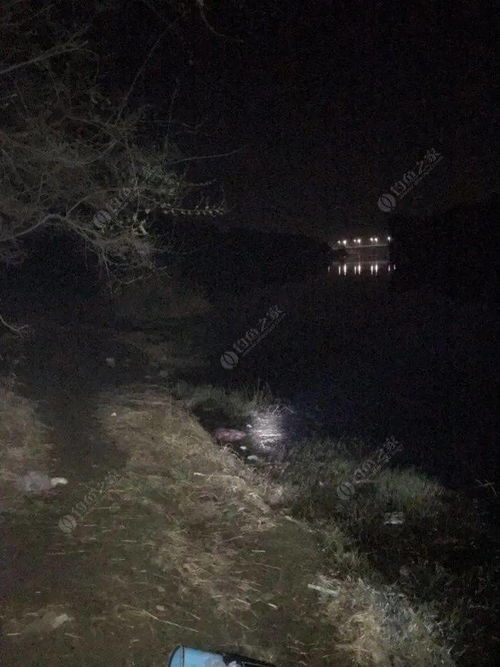 (凌晨一点算不算晚上)凌晨一点算第二天吗？不朽家族的传承和延续