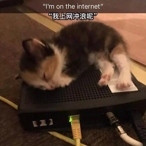 (巨龙与魔兽下载安装)巨龙与勇者手机版游戏下载指南：如何快速找到下载安装链接