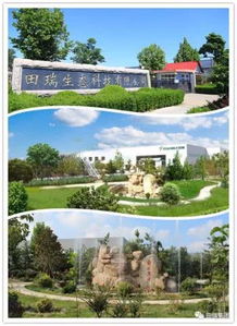 体验自然、探索科普知识：浓缩绿梦生态园全景图带您走进生态保护的休闲乐园