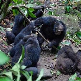 (胜者为王,败者为寇是什么意思)战争论的精髓：胜者为王、败者为寇