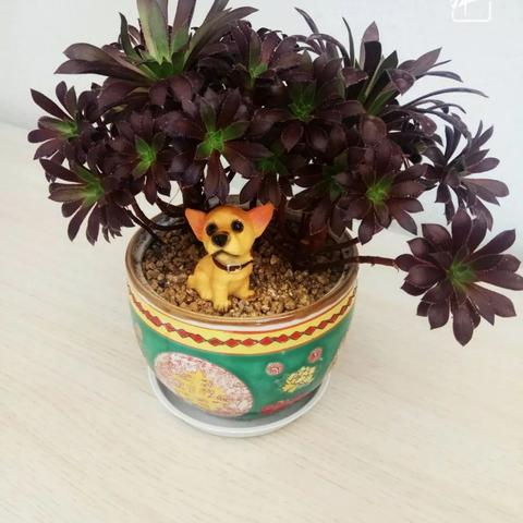 小小法师无限钻石无限金币指南：全面剖析如何高效赚取钻石和金币攻略揭秘