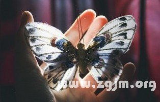 (女士梦见血)女人梦见血蝶是好事还是坏事？解梦预示的吉凶如何？