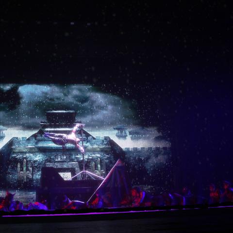 (关于成功的纪录片)揭秘成功的秘诀：赢在战国纪录片种子中的故事归来