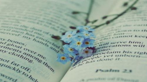 如果一生只有三十岁完整版:探讨时间的珍贵与生命的意义,如何更有意义度过我们有限的时光 如果一生只有三十岁完整版:探讨时间的珍贵与生命的意义,如何更有意义度过我们有限的时光