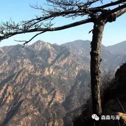 (小镇惊魂1无尽长廊)在小镇惊魂中无尽徘徊：探秘神秘走廊的恐怖秘密