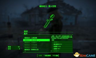 细致解析辐射4攻略派普，让你轻松游戏提升技能，掌握更多战略技巧