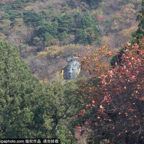 (诸神竞技场宣传片)探索诸神竞技场卡牌：掌握策略与技巧，制霸战斗之巅的秘诀