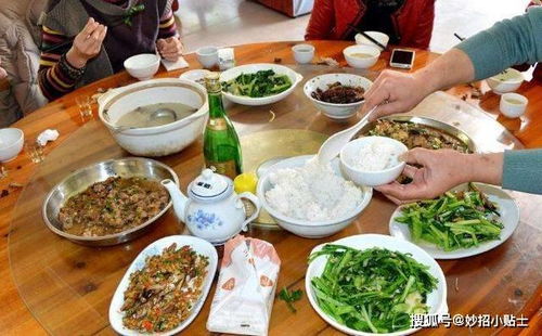 (挑战吃香菜)天选三国 天天吃香菜：探索中国美食文化的传统与创新