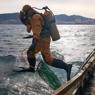 (海岛题材游戏)探寻深海宝藏：一款复古海岛经营游戏