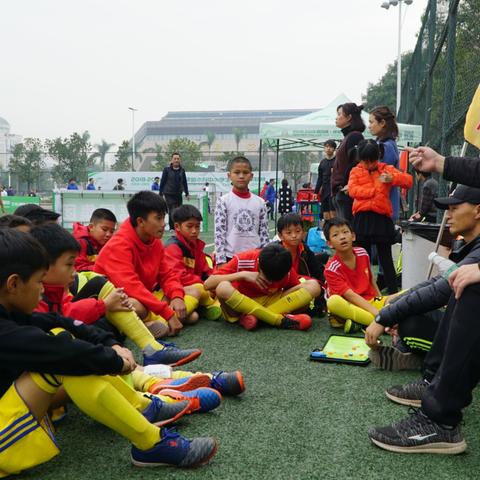 (绿茵足球游戏网)绿茵足球App官网入口：探索最新足球赛事和资讯