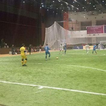 (绿茵足球游戏网)绿茵足球App官网入口：探索最新足球赛事和资讯