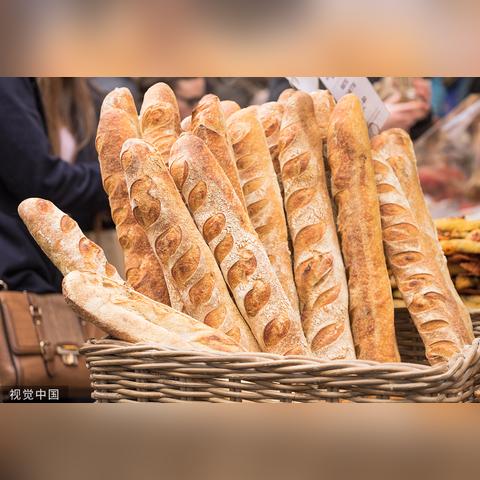 揭秘《面包房行动》：这部精彩作品究竟有多少章节和背后的故事？